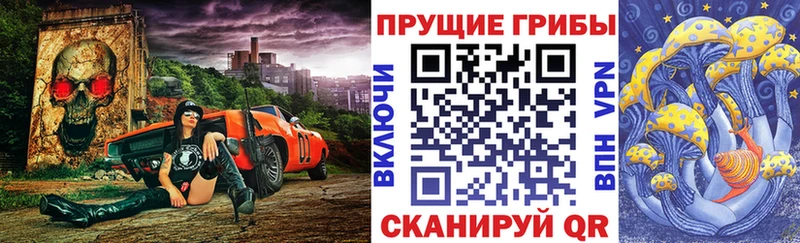 KRAKEN ССЫЛКА  Балашиха  Псилоцибиновые грибы Psilocybe 